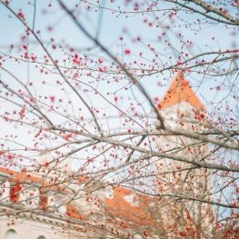 9e5793f18cad82ec29c42d5ff27905aa