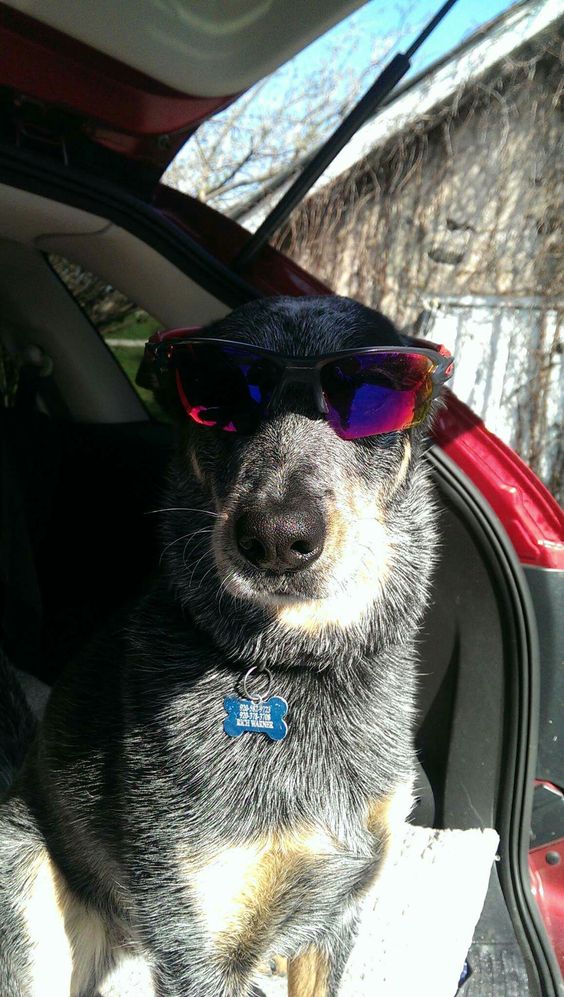 4e9ba936484a56b9b73a705b15b88b6a