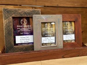 15303992_10209916385400762_1961853949_o