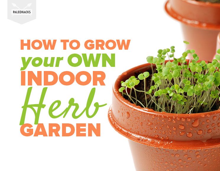how-to-grow-your-own-indoor-herb-garden